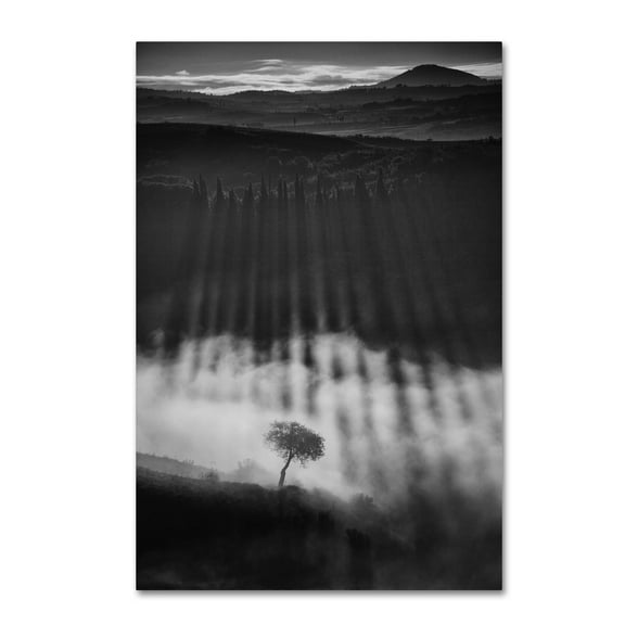 Peter Svoboda 'Rising Up' Canvas Art