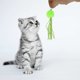 thumbnail image 5 of 2 Piezas de Reemplazo para Varita de Gato, Accesorios de Recarga para Varita de Gato para Gatos de Interior y Exterior, Bola de Felpa Verde, 5 of 7