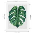 thumbnail image 2 of Paint By Numbers Kit for Adults Beginner - DIY Monstera Leaf Artwork Botanical Design Canvas Painting Kits for Adults, Frameless Paint By Number for Adults for Home Wall Decor 16x20 Inch, 2 of 7