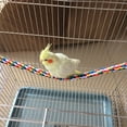 thumbnail image 3 of Colorful Hanging Cotton Rope Bird Standing Frame For Comfortable Bird Chewing And Climbing, 3 of 8