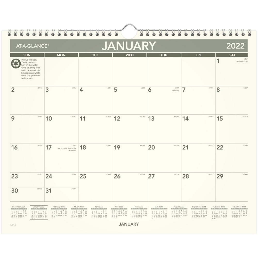 ATAGLANCE Recycled Monthly Wall Calendar, 15" x 12", January 2022 to