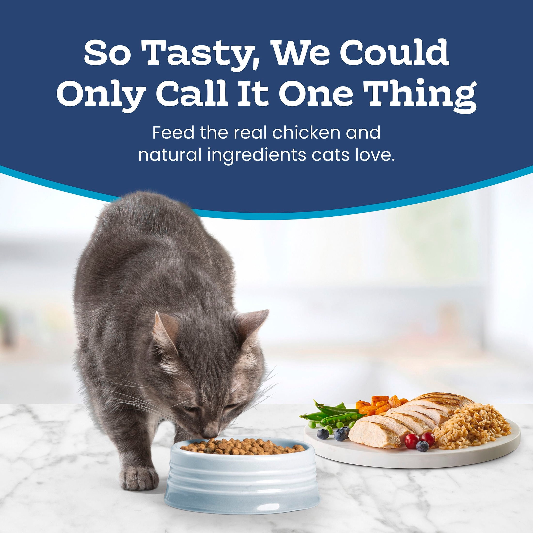 Blue Buffalo Tastefuls Natural Dry Food for Adult Indoor Cats, Chicken & Brown Rice Recipe, 5-lb. Bag