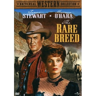 The Other Side of the Mountain (DVD)