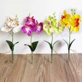 thumbnail image 3 of CAROOTU Simulation Flowers Fancy Four Butterfly Orchid Meaty Plant Bonsai Flower, 3 of 4