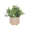 thumbnail image 1 of Flora Bunda CS4413E-MV Tea Leaf in 5' MAUVE PHARAOH footed pot, 1 of 1