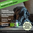 thumbnail image 2 of Probióticos Pet Honesty para perros, apoyo para la diarrea y el intestino, 90 unidades, 2 of 8