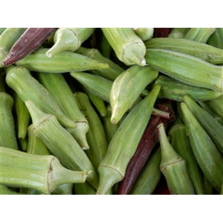 Okra Clemson Spineless Seed - 1 Packet (Best Okra To Plant)