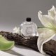 thumbnail image 1 of Recambio de perfume de tocador de 70 ml para difusores | 6 aromas duraderos para el hogar y la oficina | Verde, blanco, morado, amarillo, azul y rosa | Paquete de 1 para dormitorio, cocina y baño, 1 of 7