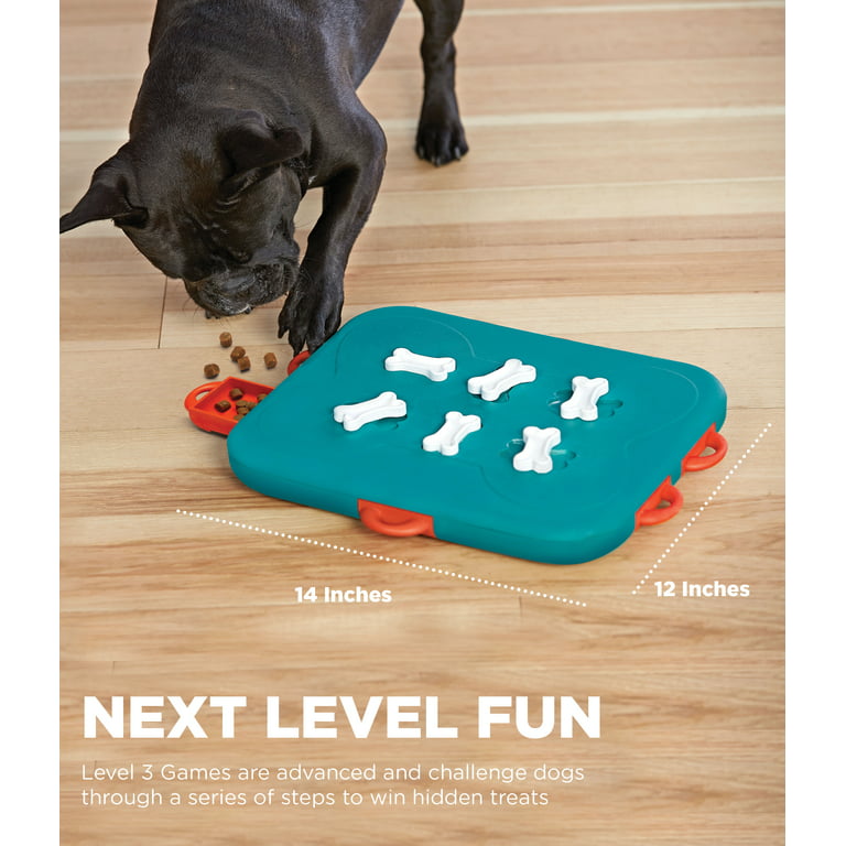 Nina Ottosson by Outward Hound Dog Brick Interactive Dog Puzzle