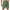 Army Green, variant on lmcalzta Mens Joggers Drawstring Elastic Waist Sweatpants with Pockets Athletic Workout Running Trousers
