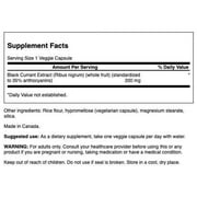 Swanson Black Currant Extract 200 mg 30 Veggie Capsules
