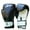 Red,Black, variant on Pro Style Training Gloves Boxing Gloves