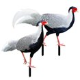 thumbnail image 5 of 2pcs Realistic Acrylic Pheasant Stakes for Lawn Garden Decoration Durable Outdoor Art for Farmhouse Rustic Style, 5 of 5