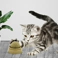 thumbnail image 3 of Pelotas de hierba gatera, juguete giratori , juguetes para , de mordedura de gato, de pared comestible de hierba gatera para Colco Juguetes de pared de hierba gatera, 3 of 8