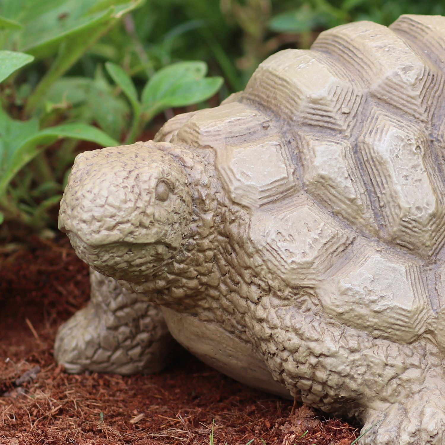 Better Homes & Gardens Turtle Statue, 9.3inL x 6.5in W x 4.75in H Brown Turtle Statue