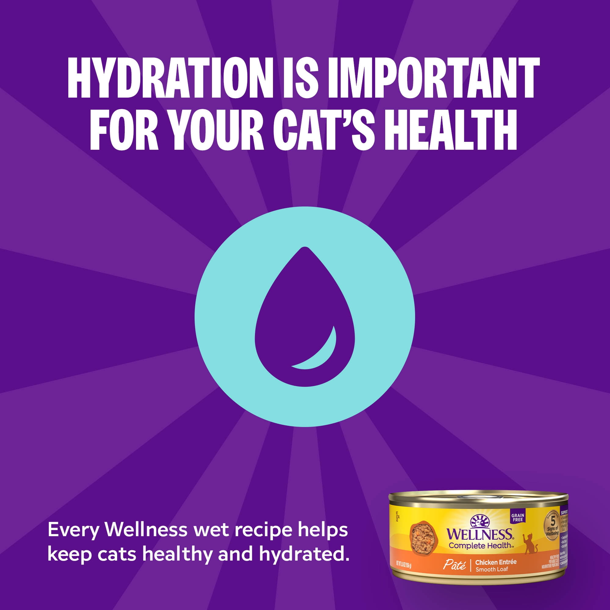 (12 pack) Wellness Complete Health Gravies Adult Canned Wet Cat Food, Natural, Protein Rich, Grain Free, Chicken Entrée Recipe, 3 oz, Pack of 12 Cans