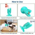 thumbnail image 3 of Cepillo de dientes para perros, juguete interactivo para masticar, juguete para masticar para perros con función de cuidado de los dientes, caucho Natural para perros pequeños, juguete para masticar para perros Rojo Verde Cocina, Decoración y Otros, 3 of 5