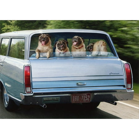 Avanti Press Pug Dogs In Station Wagon Humorous / Funny Birthday