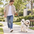 thumbnail image 5 of Wrist Worn Retractable Dog Leash, Hands Free Wrist Pet Walking Leash With Quick Lock Switch, Reflective Nylon Strap And Secure Hook For Outdoor Dog Walking And Training, 5 of 5