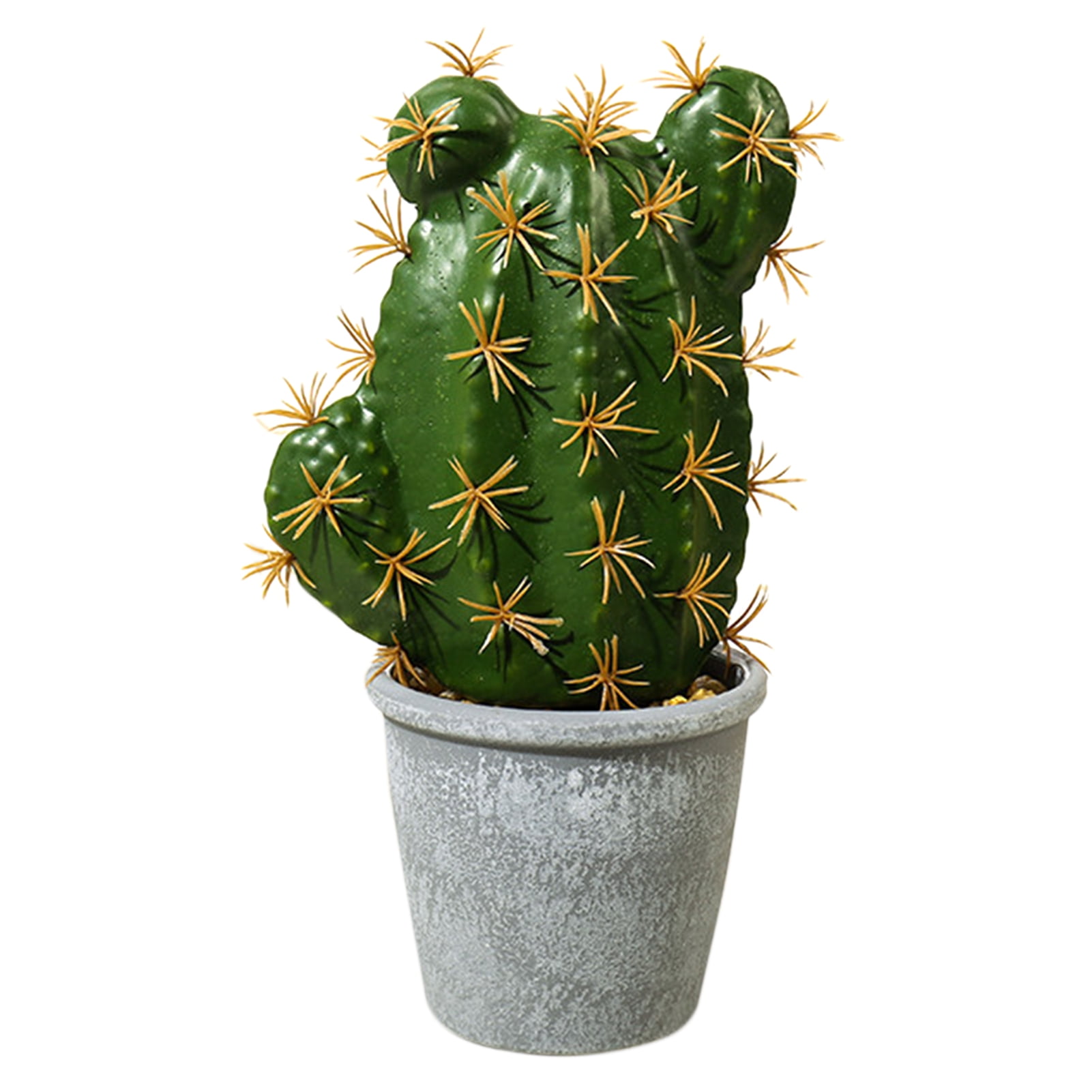 Cactus Succulent home potted Garden decoration beautiful Live Plants 4-5cm 
