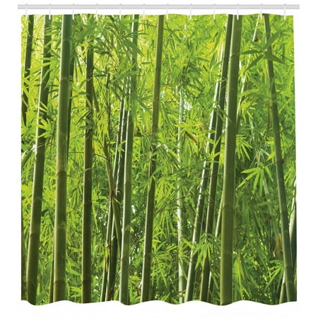 Bamboo Shower Curtain Exotic Tropical Bamboo Forest With Fresh