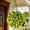 Yellow, variant on Bxaolu Artificial Hanging Flower Plants with Light for Outdoor Decoration, Solar Flower Chandeliers Hanging Topiary Balls for Hanging Outside Patio Garden Porch Balcony Yard Spring Decor(Pink)