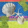 thumbnail image 2 of Brent, Paul 15x15 White Modern Wood Framed Museum Art Print Titled - Pacific Shells IV, 2 of 4