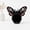 Skull Moth Cat Hat - Finished, variant on DIY Crochet Halloween Cat Hat Kit, Gothic Devil Horns Pet Costume Craft Set, Handmade Yarn Starter Pack with Pattern for Cats Small Dogs