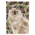 thumbnail image 1 of Carolines Treasures CK3097GF Ragdoll Pine Cones Garden Size Flag, 1 of 3
