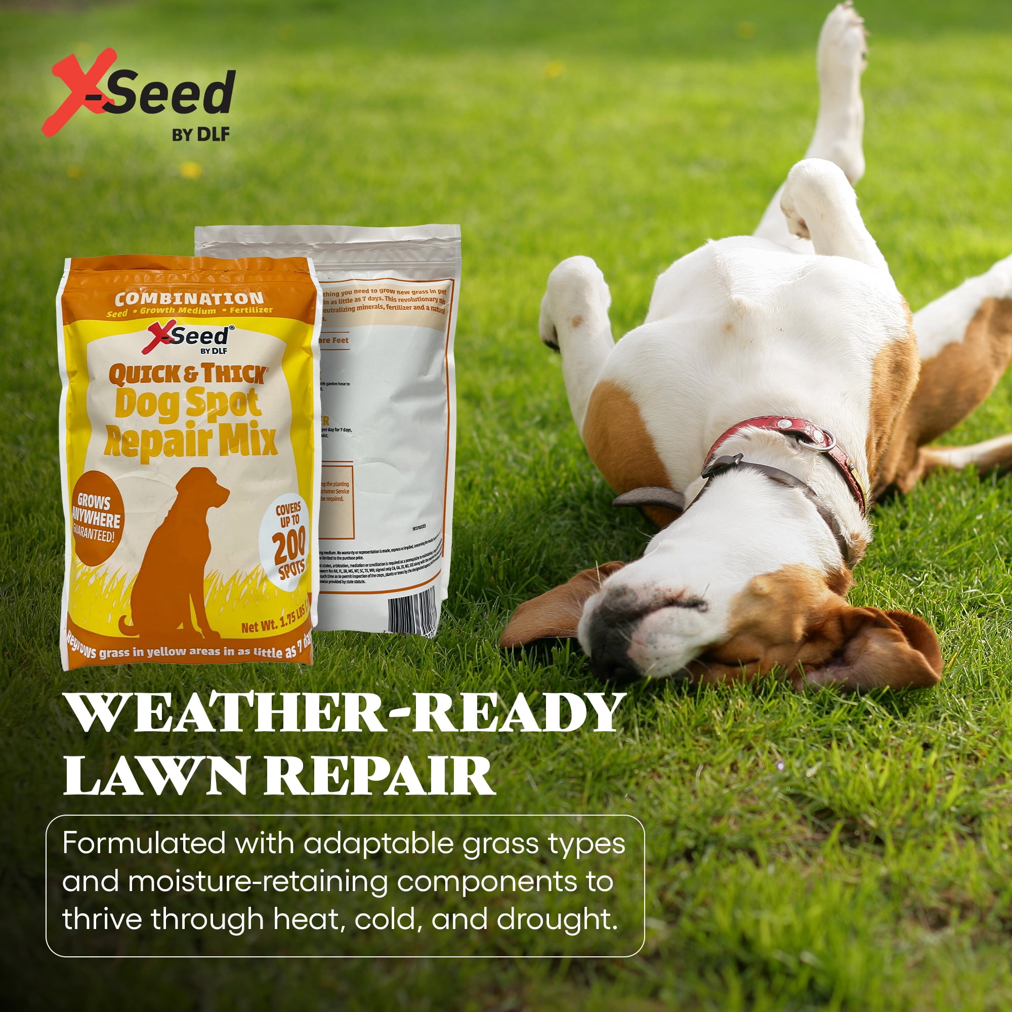 Quick & Thick Dog Spot Repair Grass Patch Repair for Lawn, Regrow Yellow Grass Areas Anywhere Quick, Pet Proof Grass Seeds for Lawn, Fertilizer & Natural Growth Medium - Up to 200 Spots 1.75 Pounds