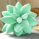 thumbnail image 1 of Peluche Decorativo Suculents Colco Almohada Cactus 25cm, 1 of 8