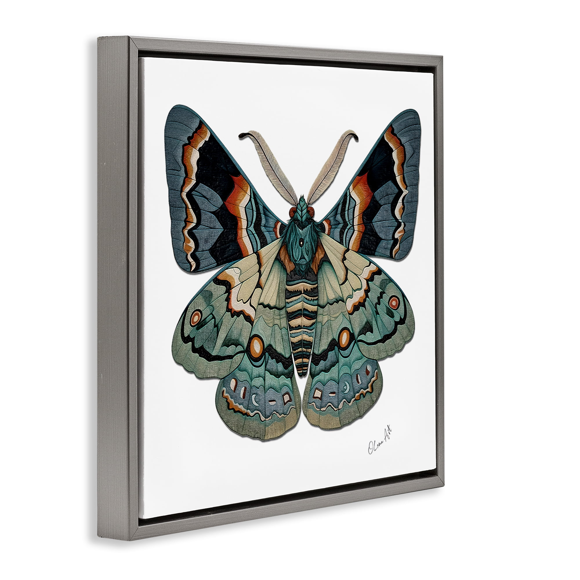Stupell Industries Symbol Of Change Moth Animals Painting Gray Floater Framed Canvas Art Print Wall Art, 18 x 18
