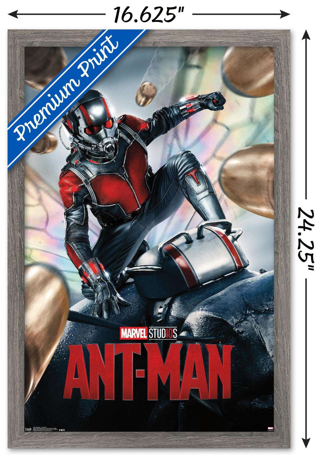 Marvel Cinematic Universe - Ant-Man - One Sheet Wall Poster, 14.725" x 22.375", Framed