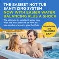 thumbnail image 2 of FROG @ease Replacement SmartChlor Cartridge 3 Pack with pH and Total Alkalinity Decreaser & 1 Pack of Maintain for use with Hot Tub FROG @ease Floating System, 2 of 8