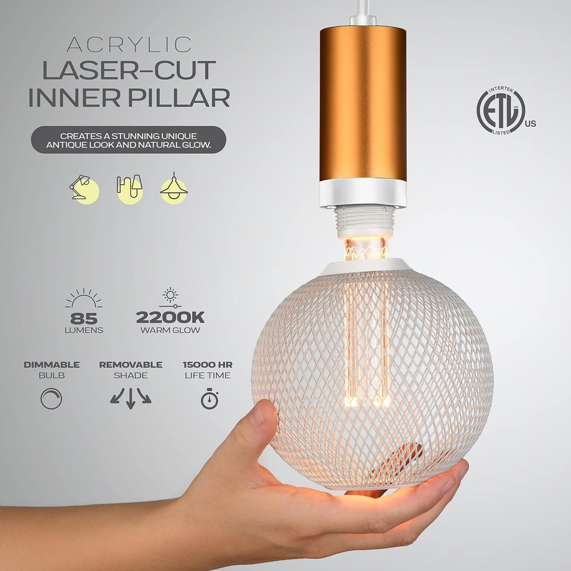 Next Glow Decorative Light Bulb, 3.5W E26 Metal Cage Globe LED Decorative Light Bulbs - White