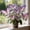 B, variant on Butterfly Flower Hostas Cultivation Granules-(Non-Artificial)-Fast Growing,Bloom Year After Year,Home Decoration-Beautiful Gift Garden-Ornamental-Premium Garden Stakes
