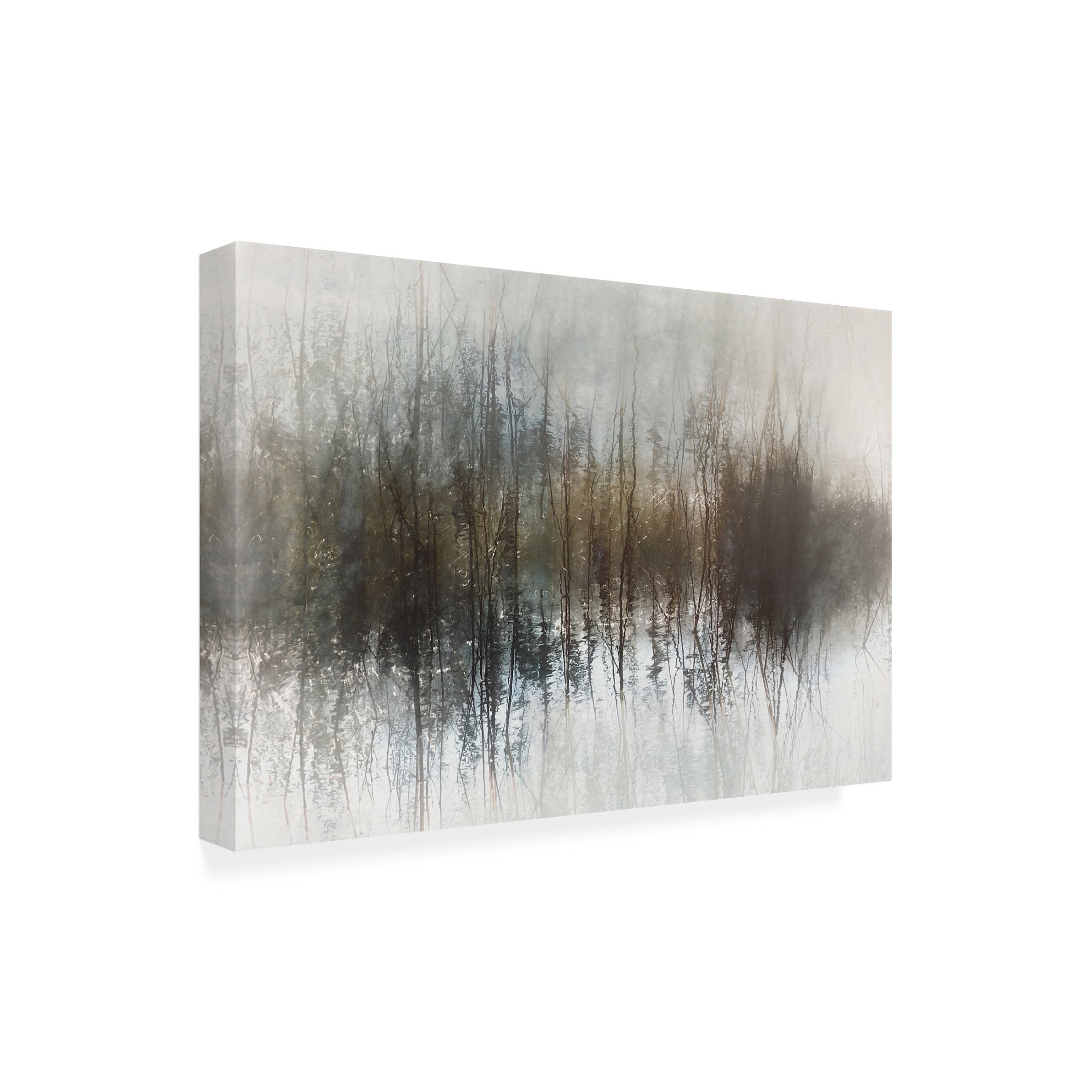 Trademark Fine Art Nel Talen  Day dreams Canvas Wall Art