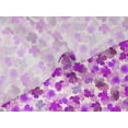 thumbnail image 5 of oneOone Velvet Magenta Fabric Watercolor Floral Sewing Fabric By The Yard Printed Diy Clothing Sewing Supplies 58 Inch Wide, 5 of 5