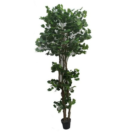 

67 in. Edge Banyan White