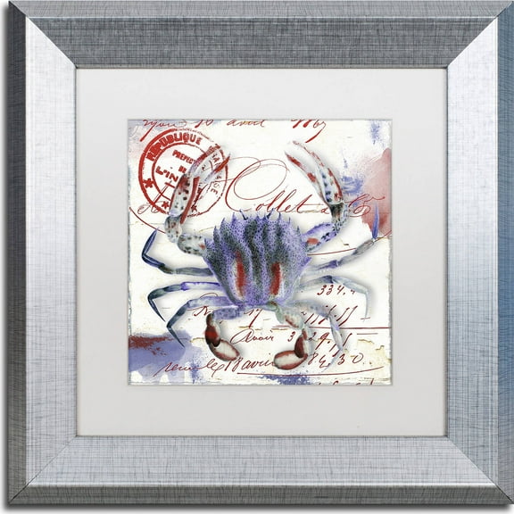 Trademark Fine Art "Oceania II" Canvas Art by Color Bakery, White Matte, Silver Frame