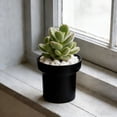thumbnail image 4 of Small Indoor Plastic Greenery Pots for Cacti, and Herbs, Mini Modern Desktop planters for Home Office Decor, Set of 1, 4 of 6
