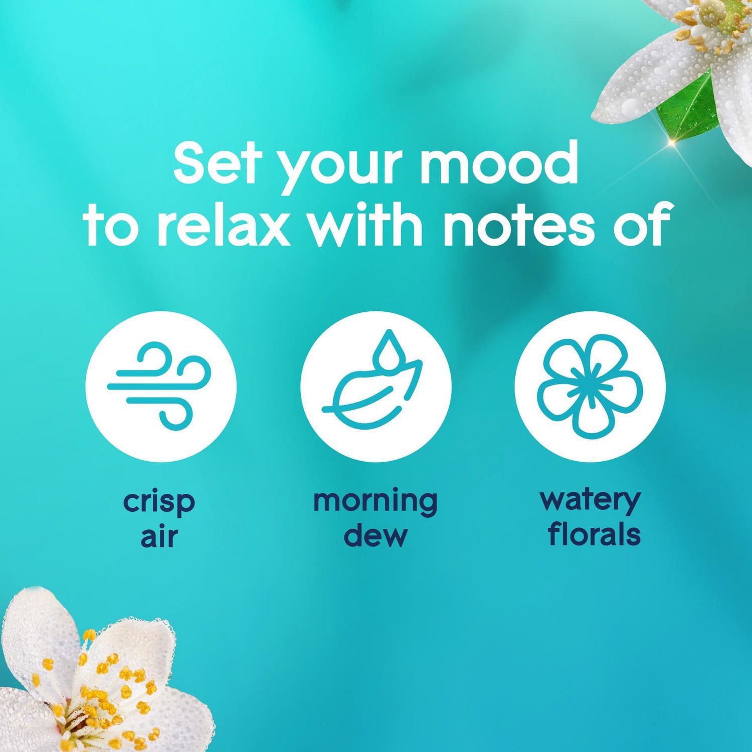 Glade Plugins® Air Freshener Oil Refill, Dewdrop Petals, 2 Refills