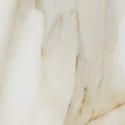 The Tile Project 30x30 Calacatta Gold Matte Porcelain Tile (1 Sample 6x6)
