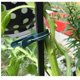 thumbnail image 3 of 100 clips de agarre de palanca para plantas y flores, color verde, suave, herramienta para sostener o enderezar tallos, tallos y enredaderas de plantas, 3 of 5