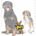 thumbnail image 5 of Tuffy Jr Bone2 Yellow Bone Print Durable Plush Dog Toy, 5 of 8