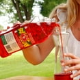 thumbnail image 4 of Ready-To-Use Hummingbird Nectar, 64-oz. 239, 4 of 4
