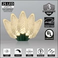 thumbnail image 7 of Wintergreen Lighting White LED String Lights Holiday Lightings, 17' (25 Count), 7 of 7