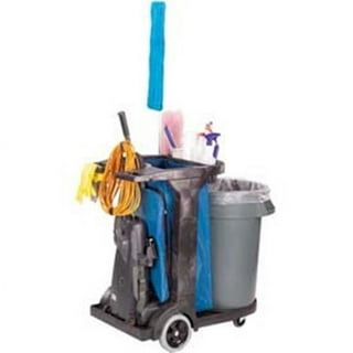 Cleaner Cart in a Public Place. Mobile Cart with Cleaning Products Stock  Image - Image of cleaners, hall: 213255587