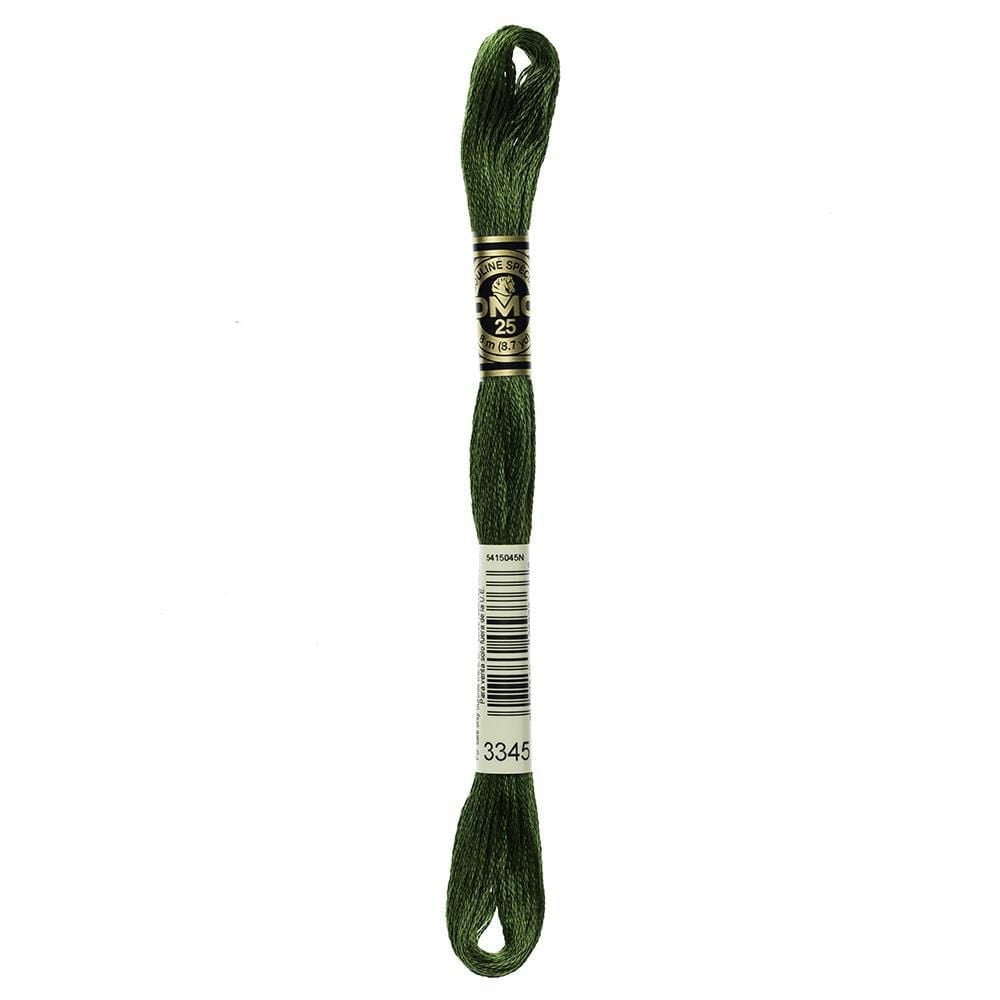 DMC Green Cotton 6 Strand Floss 8m
