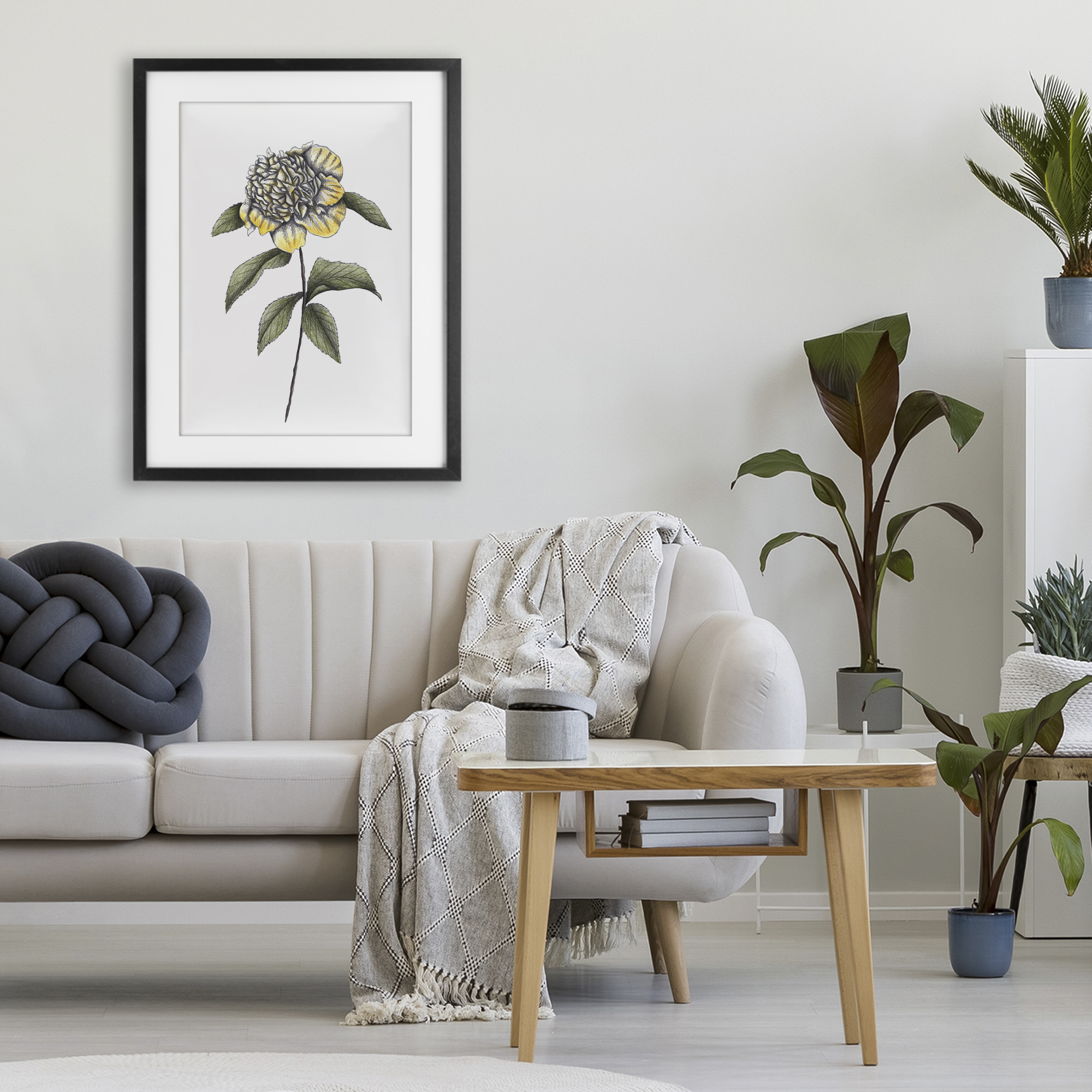 Camellia Flower Illustration Black Framed Print Under Glass, design by Cecilia Battaini
